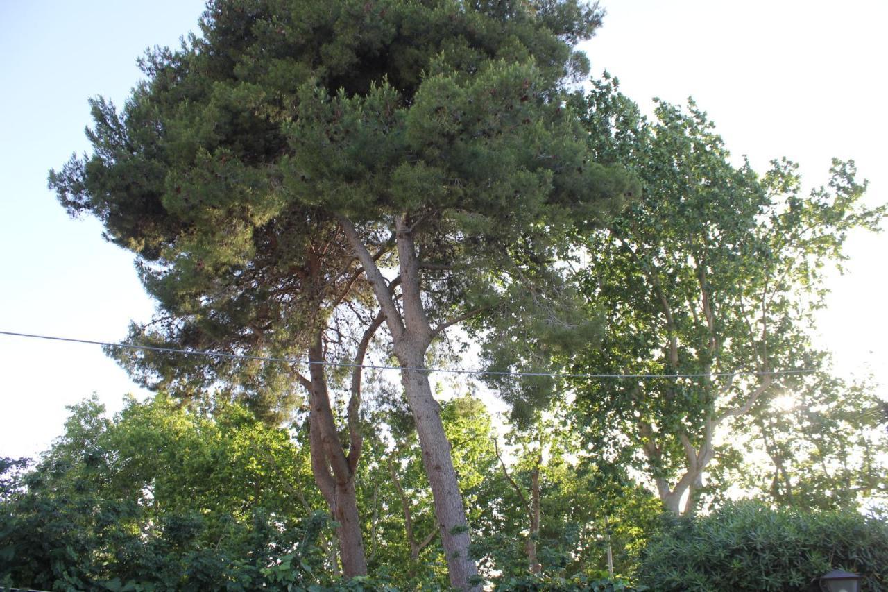 Casina Elio Villa Nardò Dış mekan fotoğraf